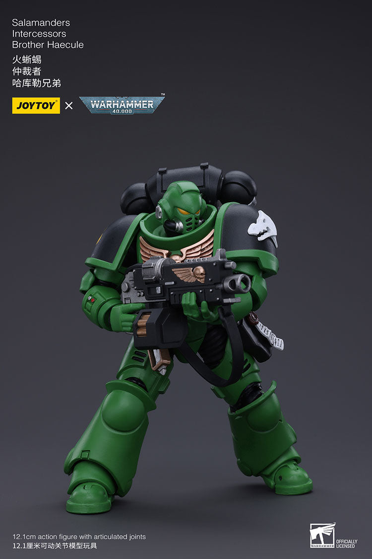 Salamanders Intercessors Brother Haecule