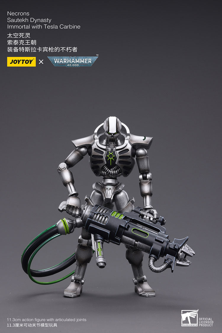 Necrons Sautekh Dynasty Immortal with Tesla Carbin