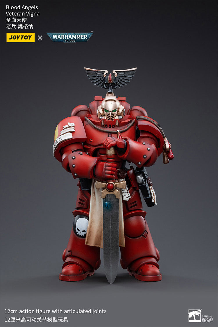 Blood Angels Veteran Vigna