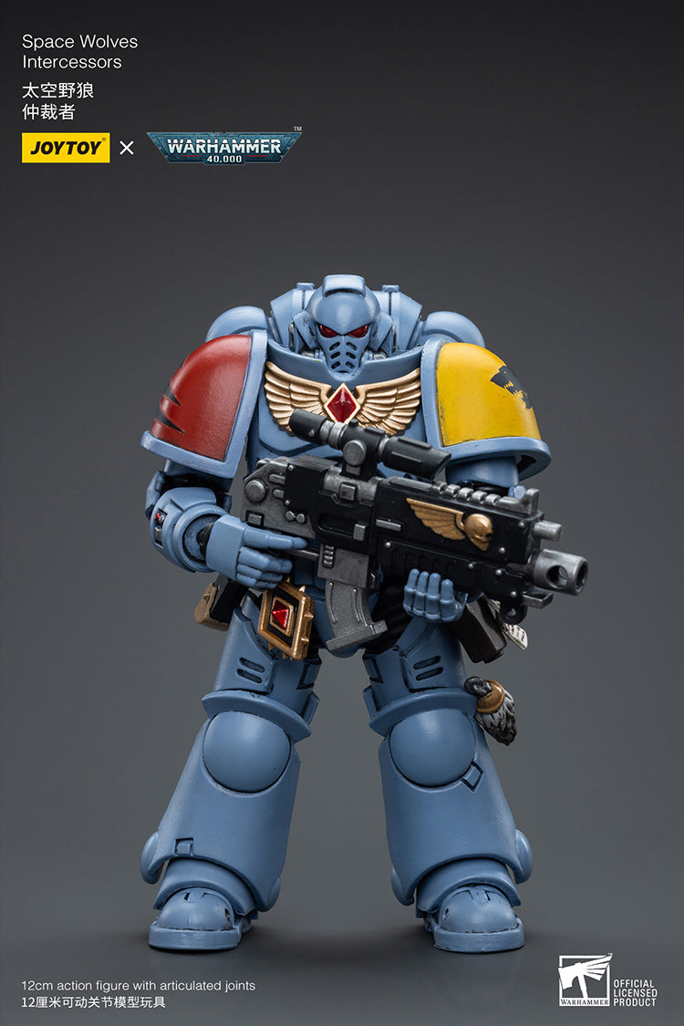 Space Wolves Intercessors