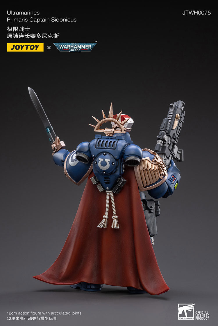 Primaris Captain Sidonicus