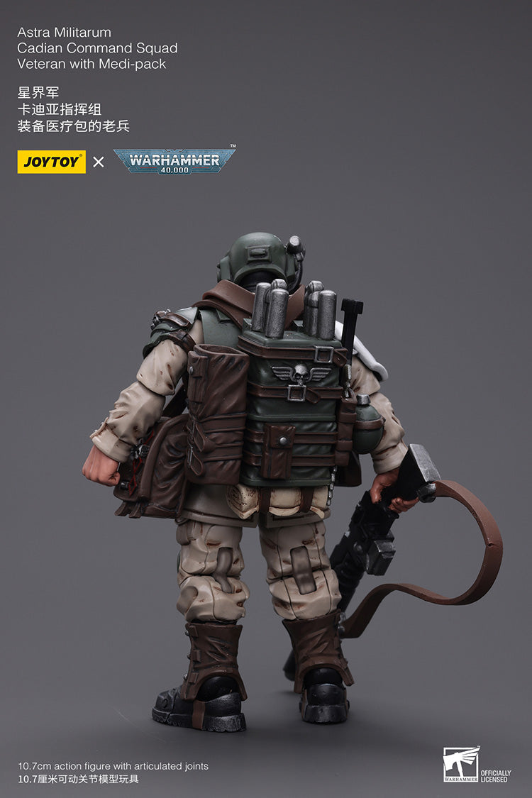 Astra Militarum Cadian Command Squad Veteran with Medi-pack