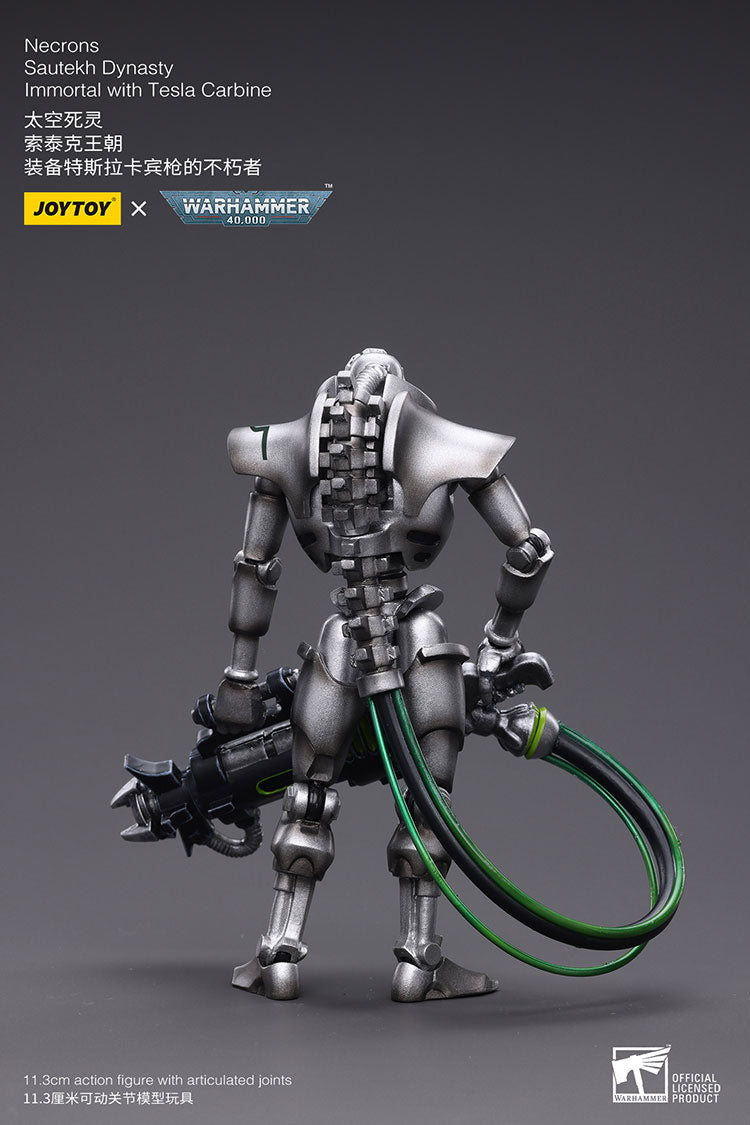 Necrons Sautekh Dynasty Immortal with Tesla Carbin