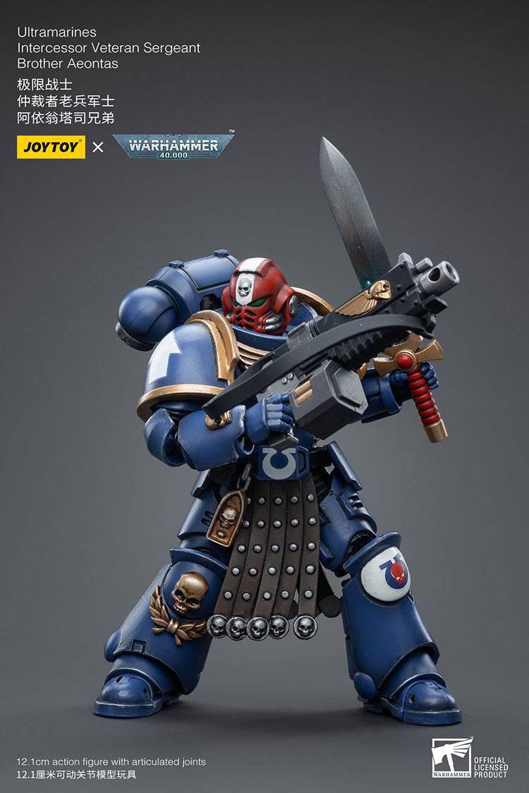 Ultramarines Intercessor Veteran Sergeant Brother Aeontas