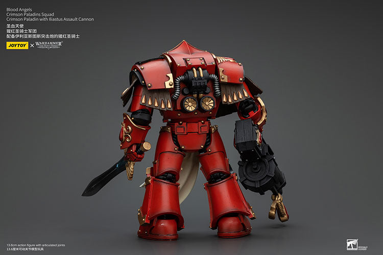 Blood Angels Crimson Paladins Squad