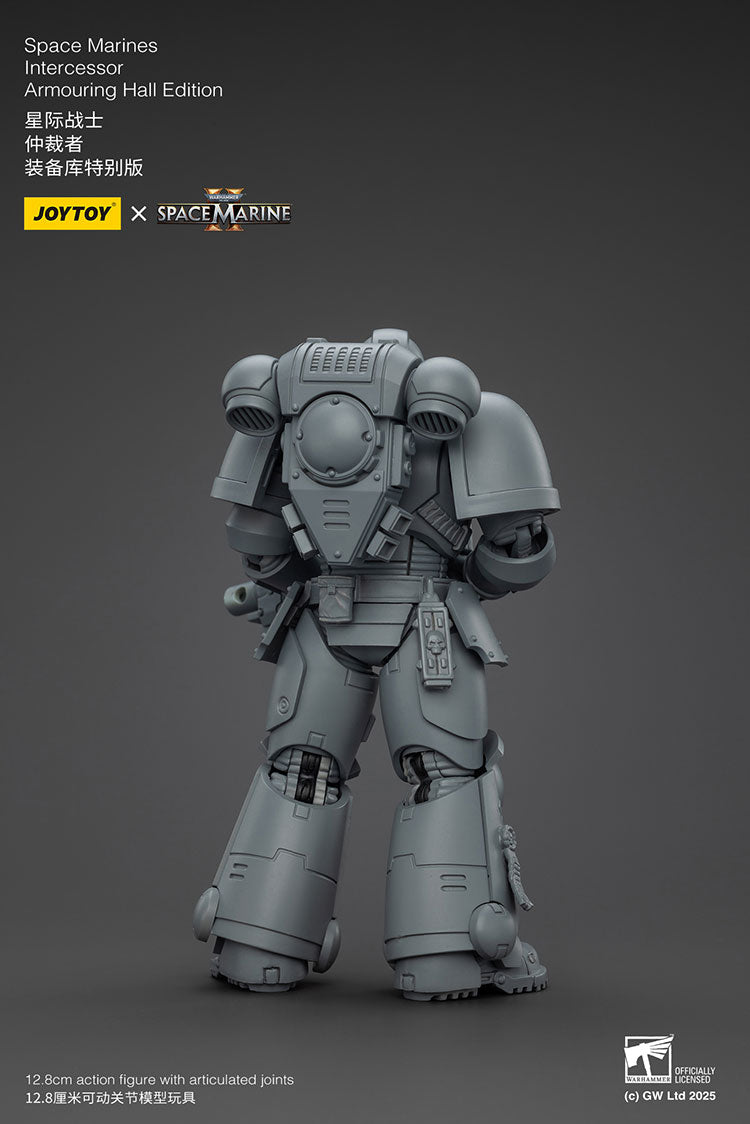 Space Marines Intercessor Armouring Hall Edition