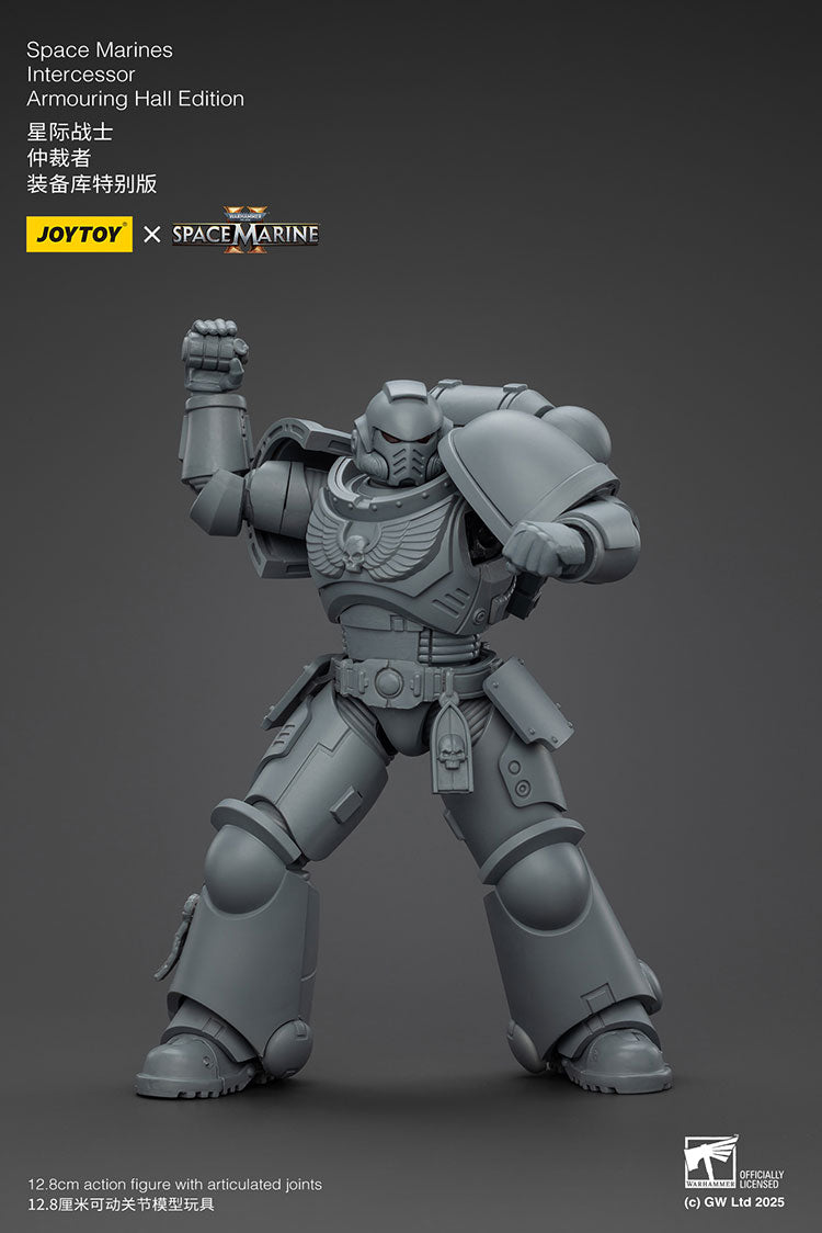Space Marines Intercessor Armouring Hall Edition
