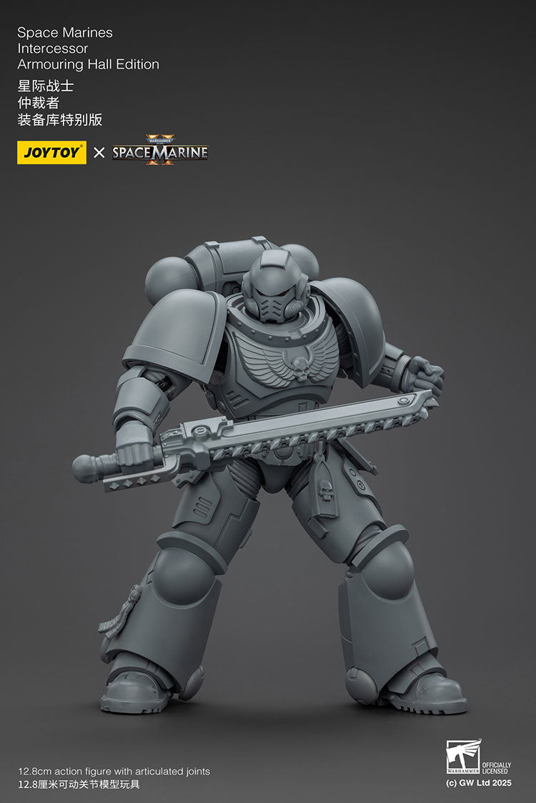 Space Marines Intercessor Armouring Hall Edition