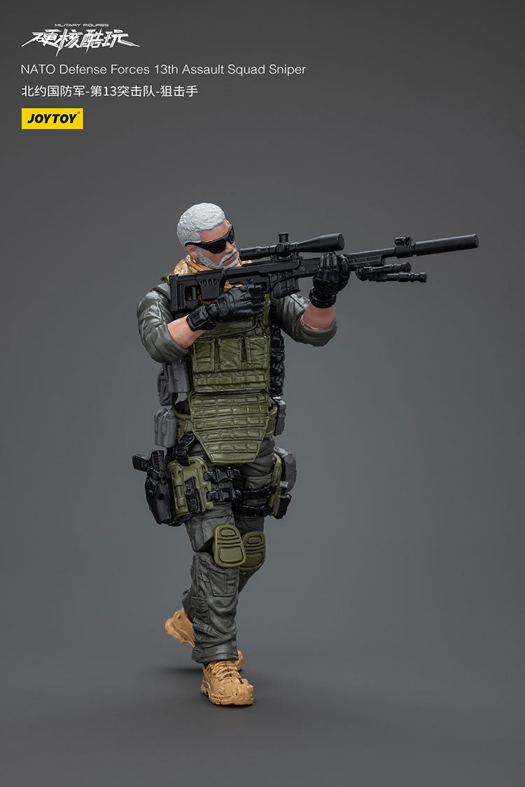 NATO Defense Forces 13th Assault Squad