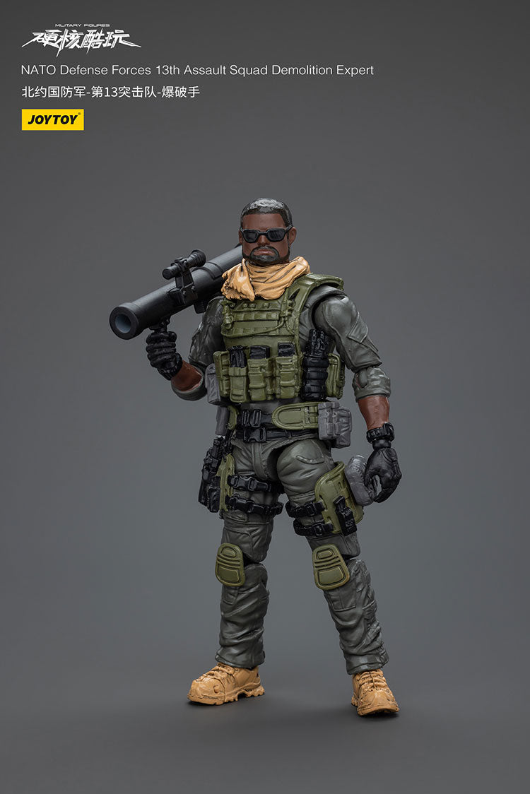 NATO Defense Forces 13th Assault Squad