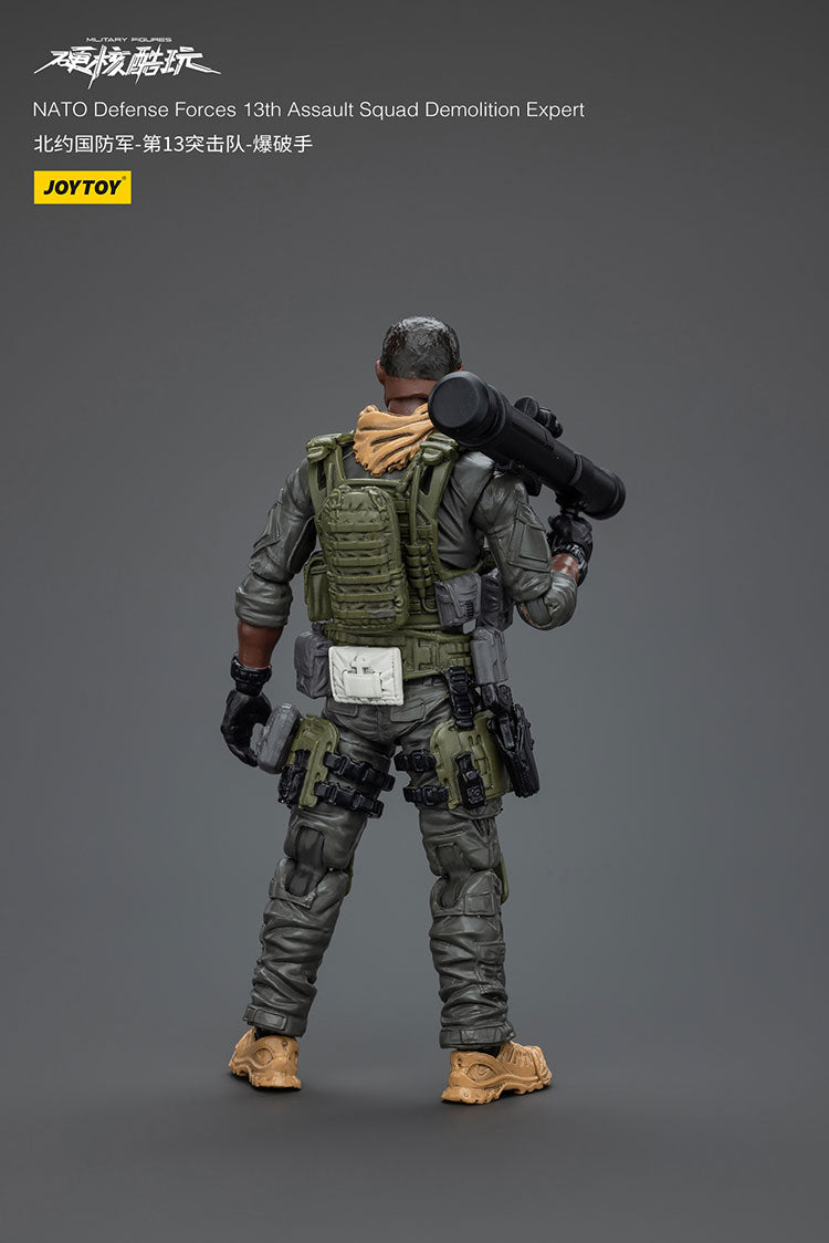 NATO Defense Forces 13th Assault Squad