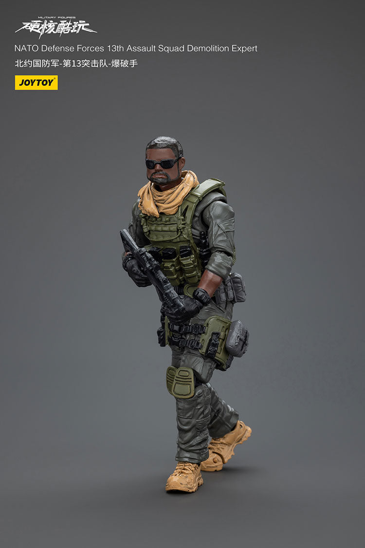 NATO Defense Forces 13th Assault Squad