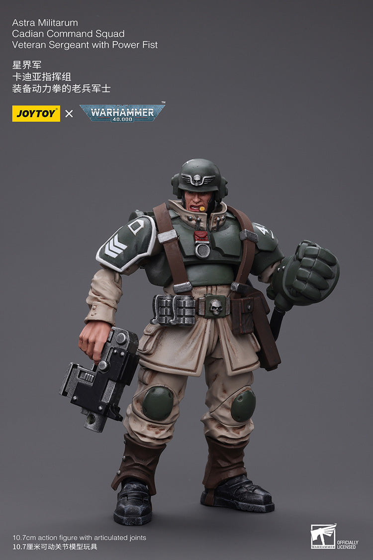 Astra Militarum Cadian Command Squad Veteran with Power Fist