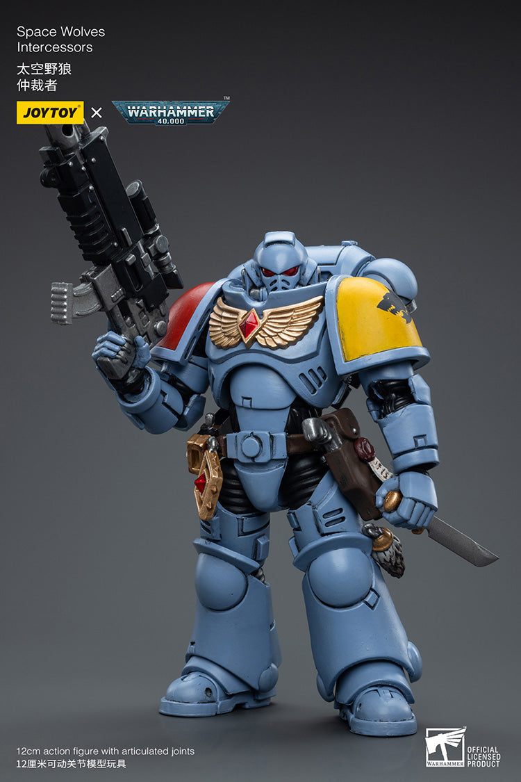 Space Wolves Intercessors