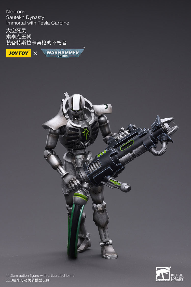 Necrons Sautekh Dynasty Immortal with Tesla Carbin
