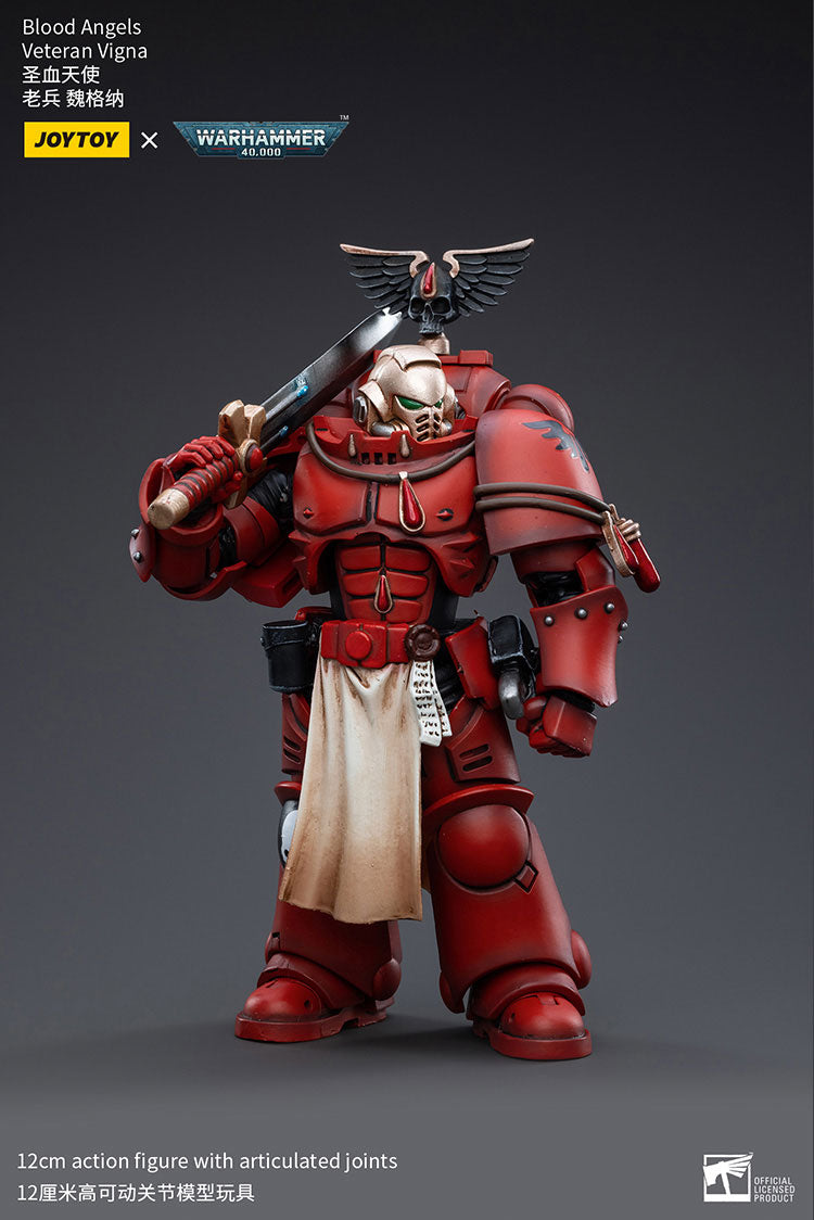 Blood Angels Veteran Vigna