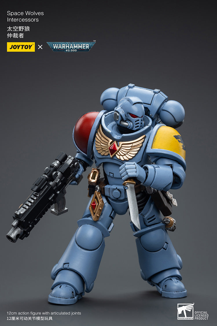 Space Wolves Intercessors