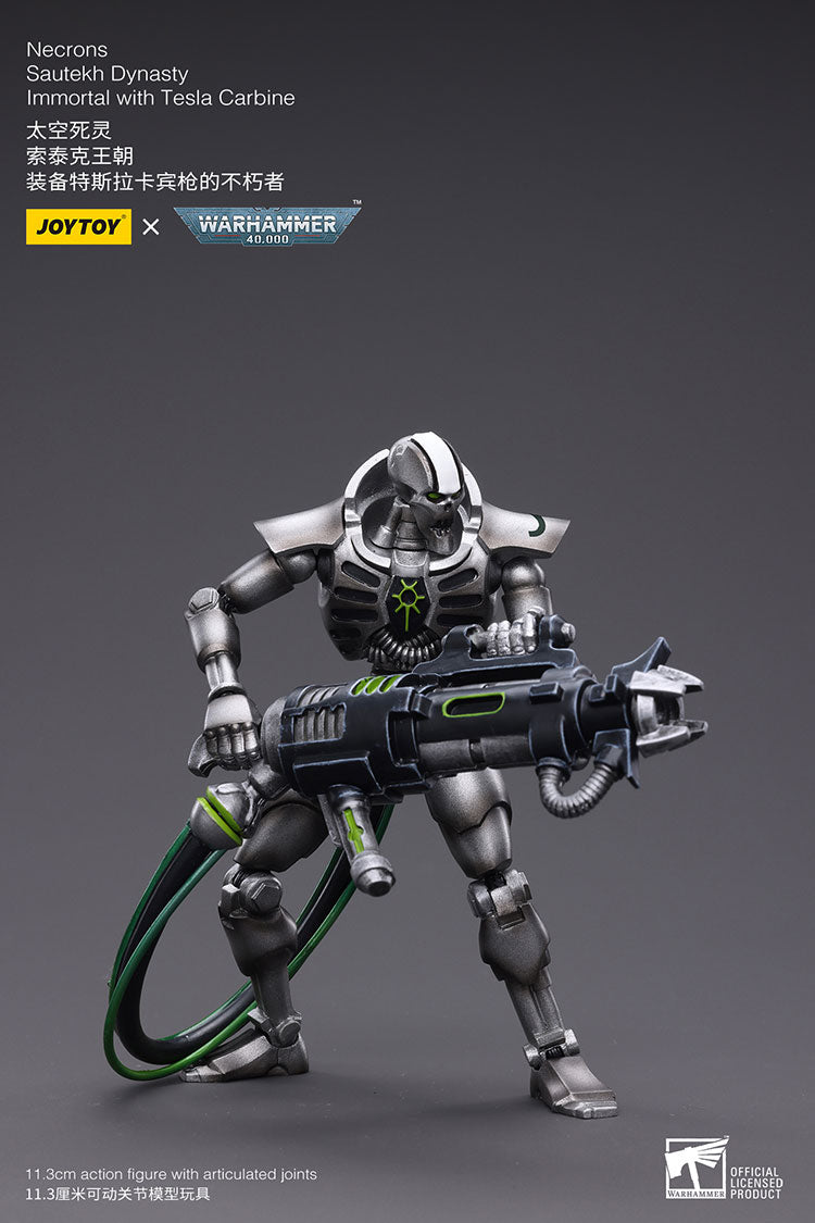 Necrons Sautekh Dynasty Immortal with Tesla Carbin