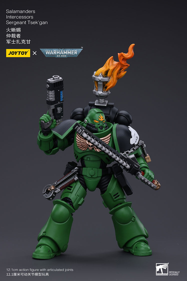 Salamanders Intercessors Sergeant Tsek'gan