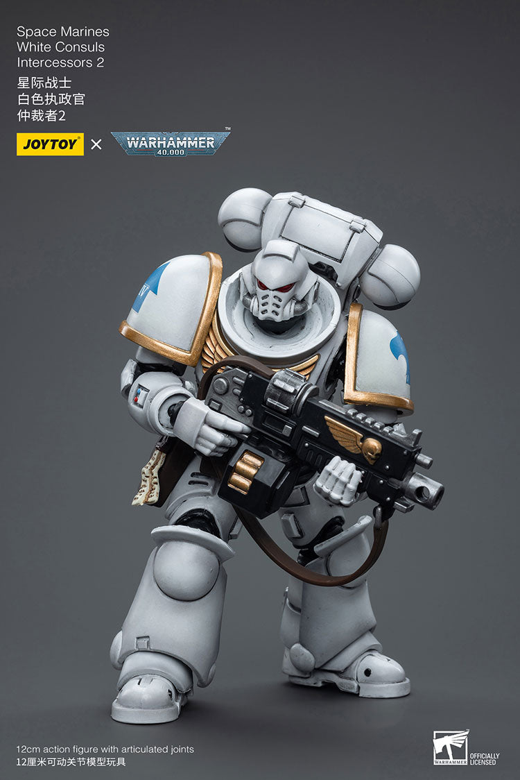 Space Marines White Consuls Intercessors 2