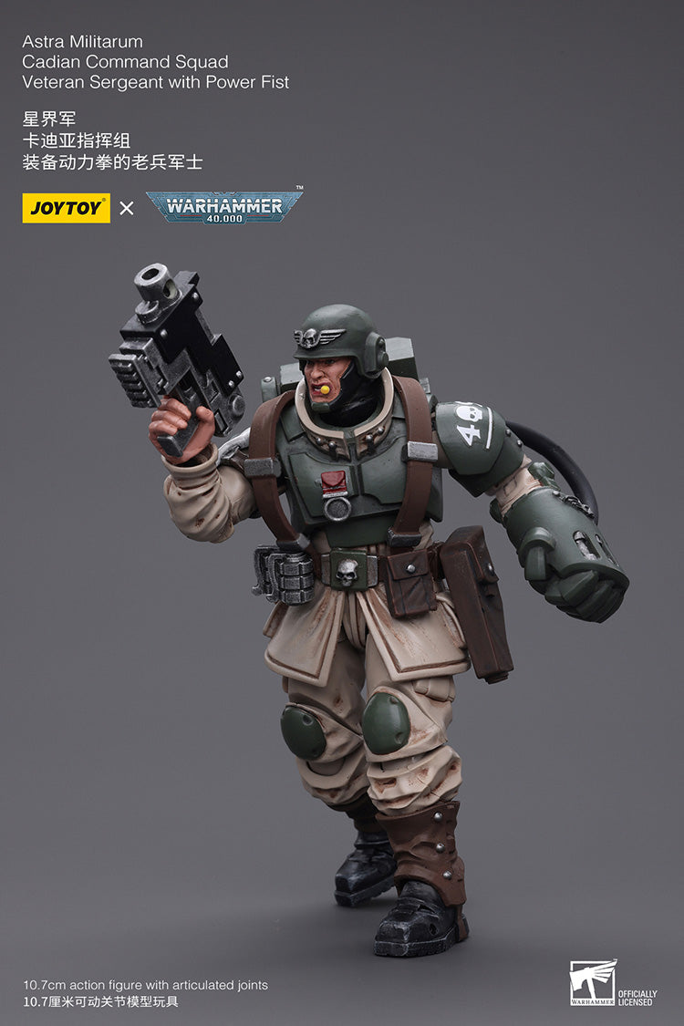 Astra Militarum Cadian Command Squad Veteran with Power Fist