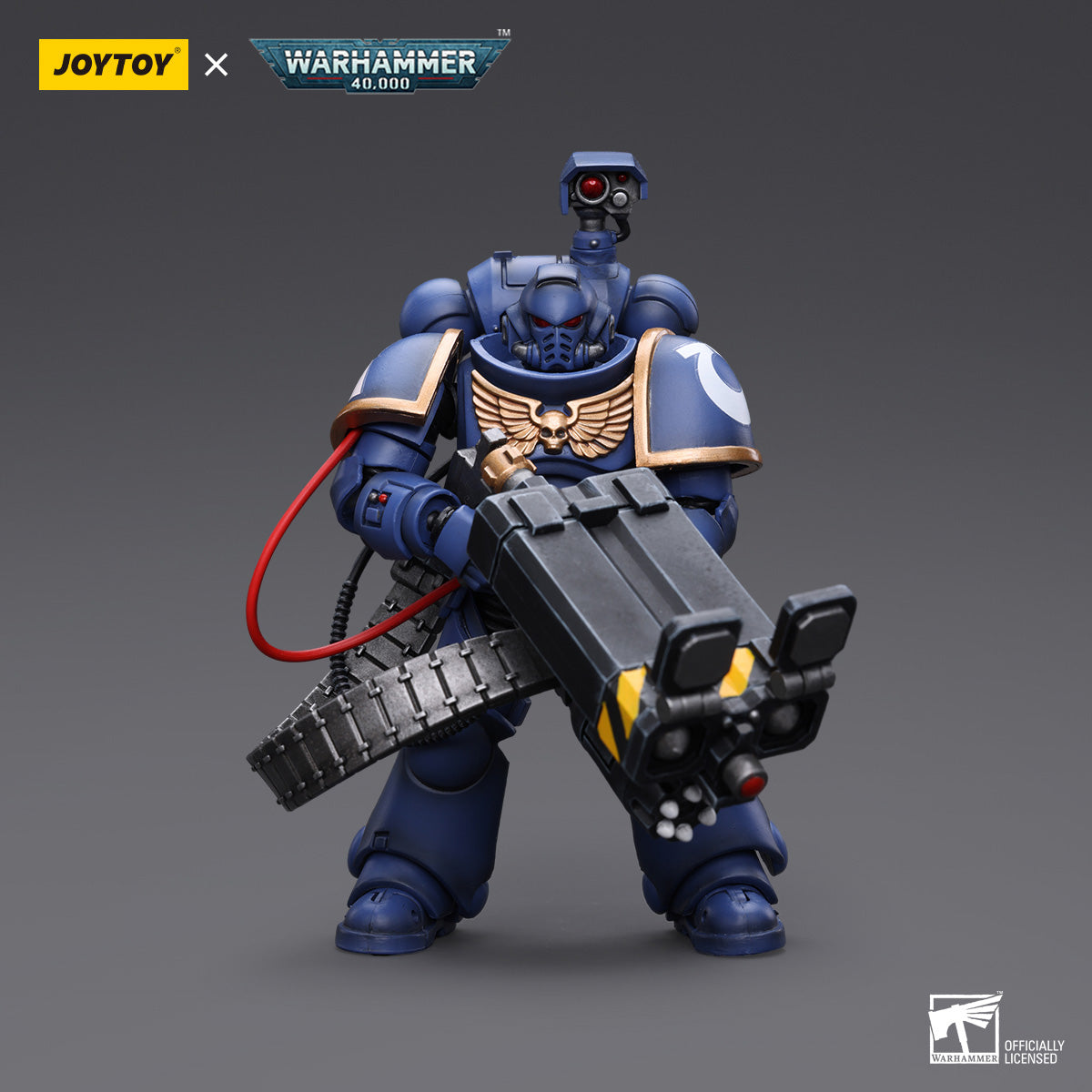 Ultramarines Desolation Marine