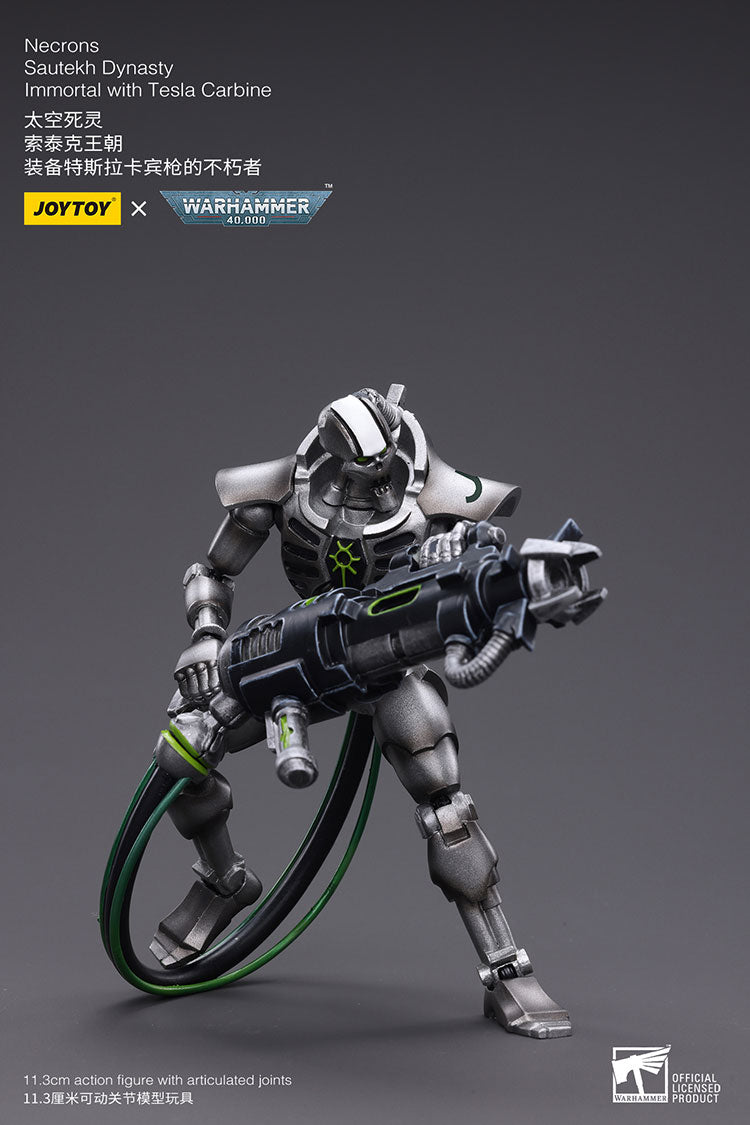 Necrons Sautekh Dynasty Immortal with Tesla Carbin