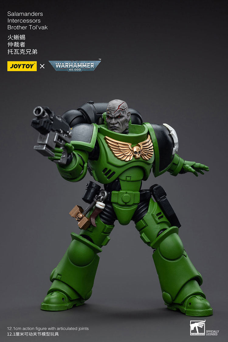 Salamanders Intercessors Brother Tol'vak