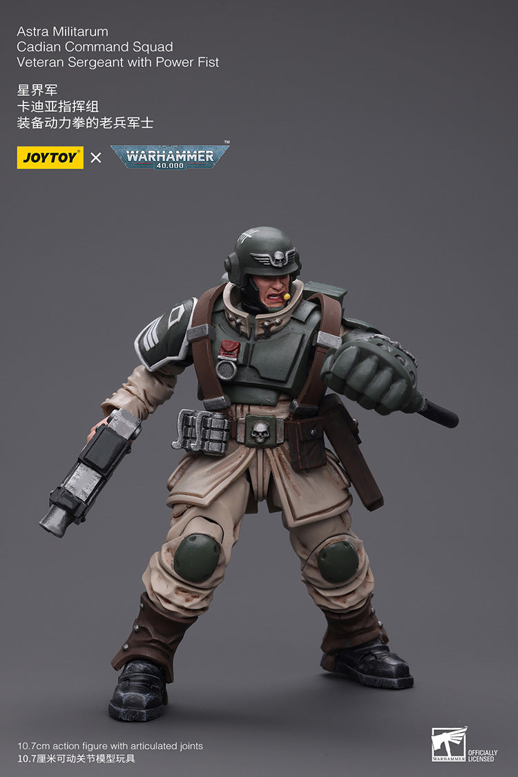 Astra Militarum Cadian Command Squad Veteran with Power Fist