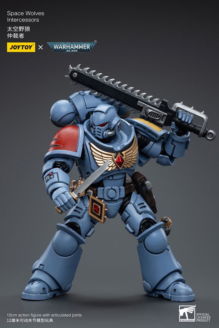 Space Wolves Intercessors