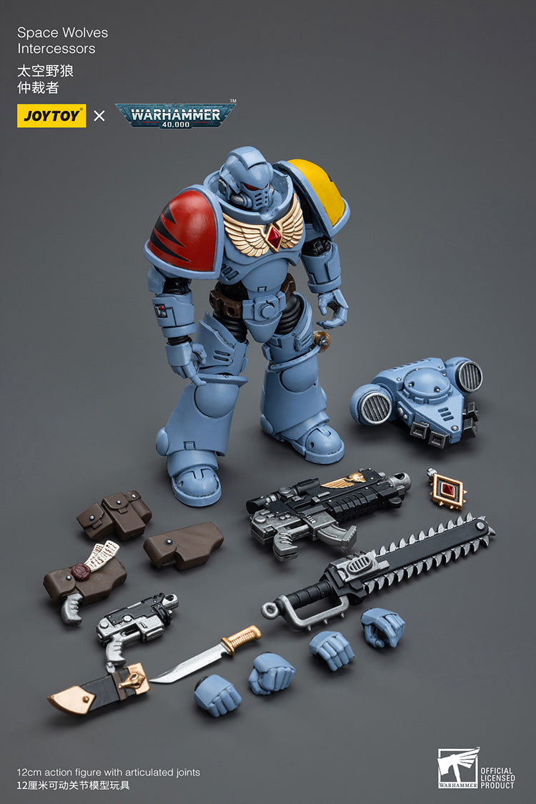 Space Wolves Intercessors