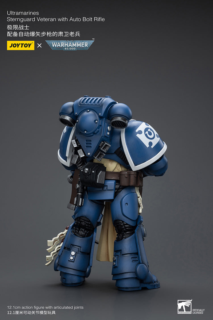 Ultramarines Sternguard Veteran