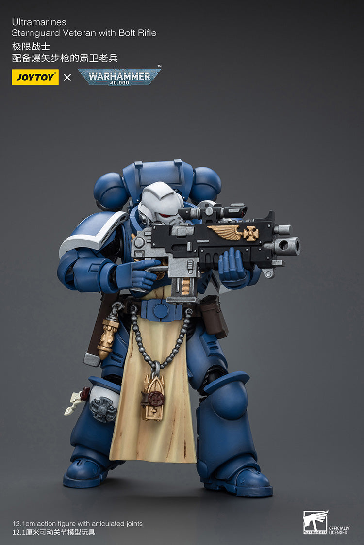 Ultramarines Sternguard Veteran