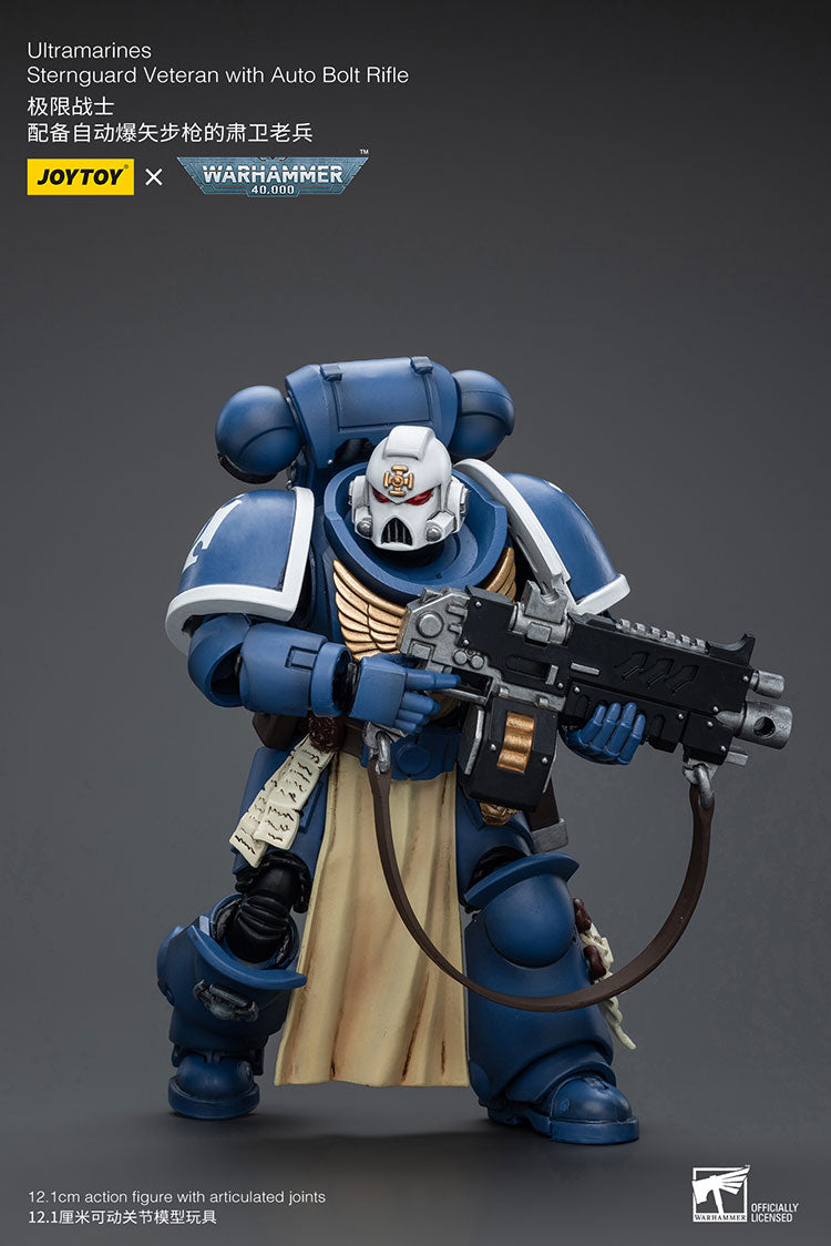 Ultramarines Sternguard Veteran