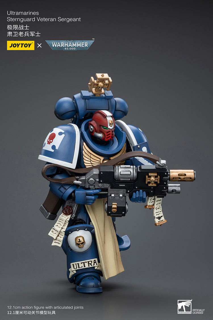 Ultramarines Sternguard Veteran
