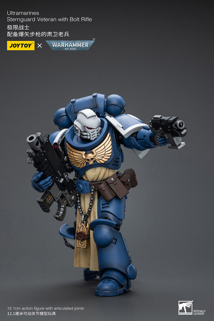Ultramarines Sternguard Veteran