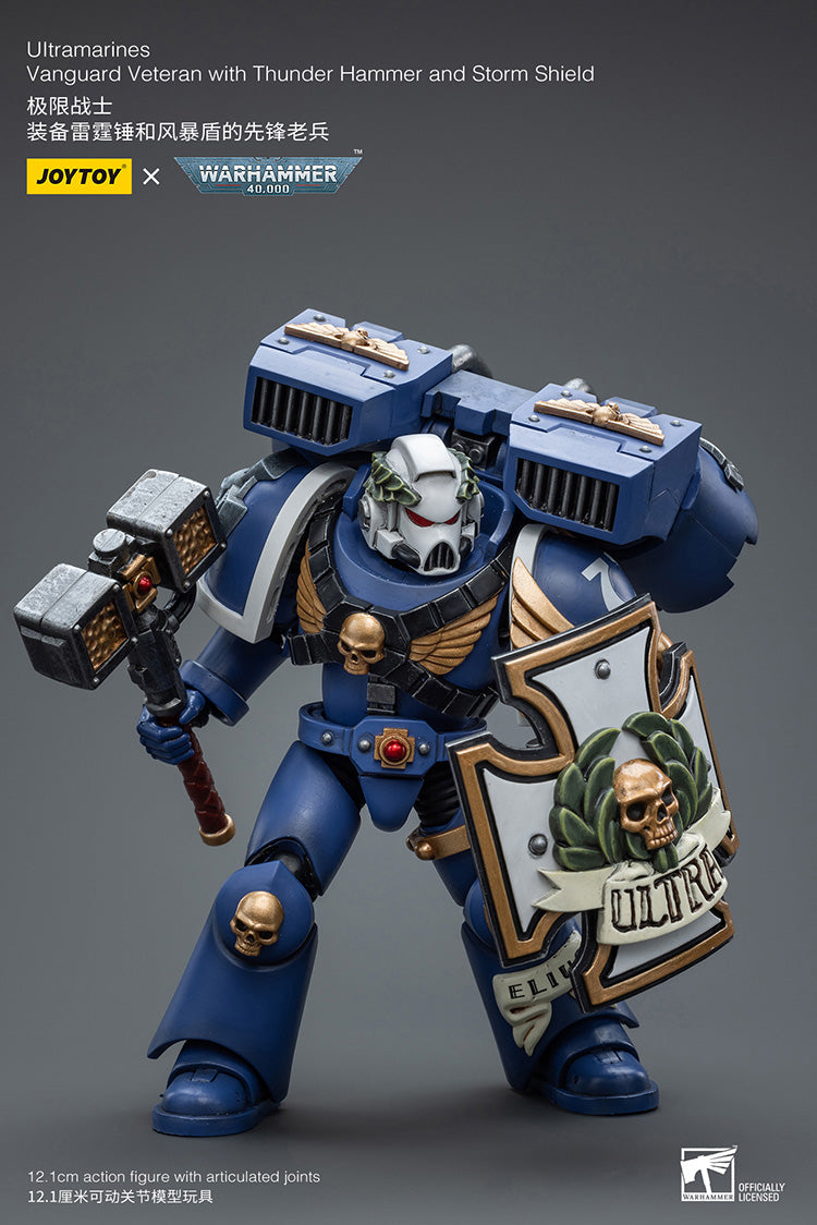 Ultramarines Vanguard Veteran with Thunder Hammer and Storm Shield