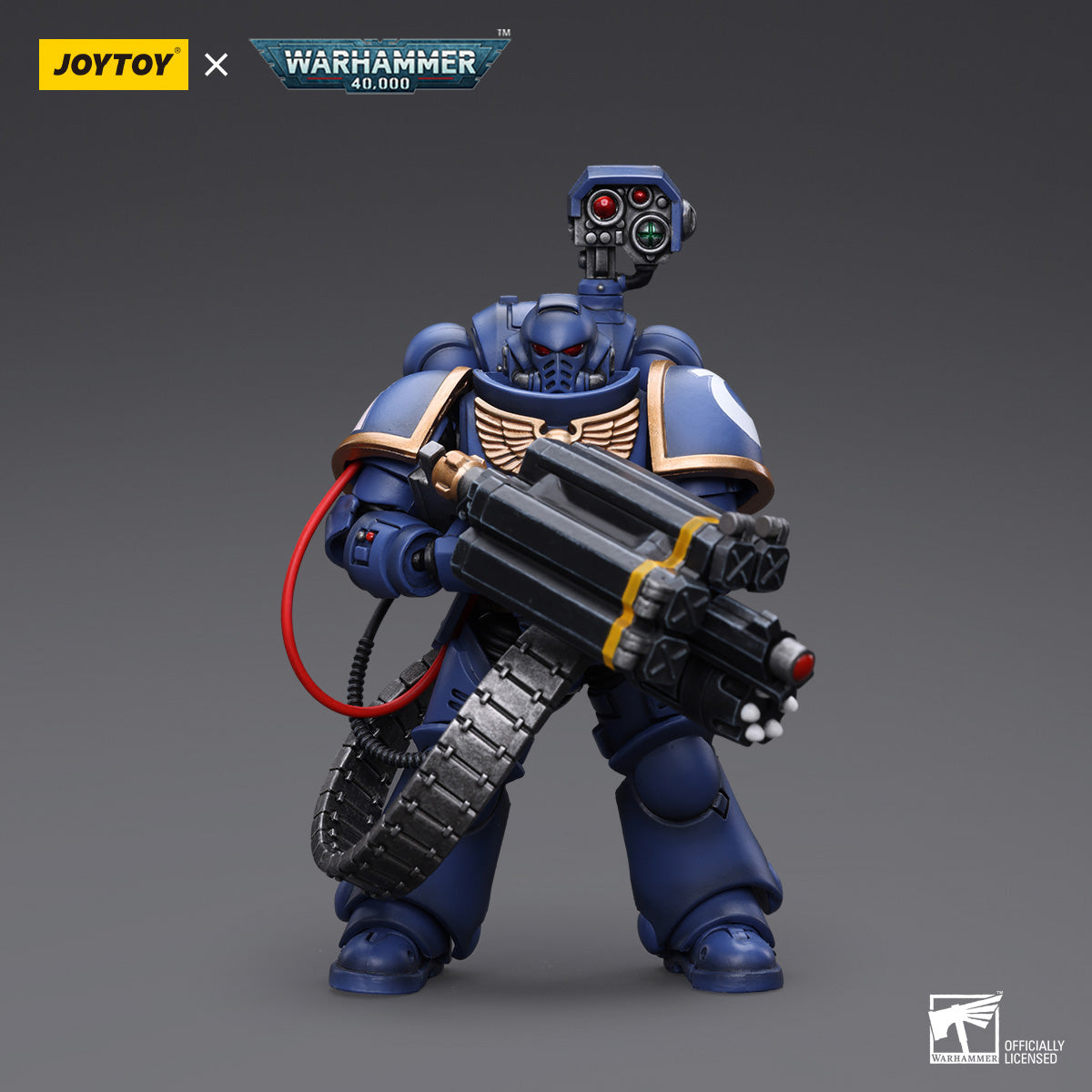 Ultramarines Desolation Marine