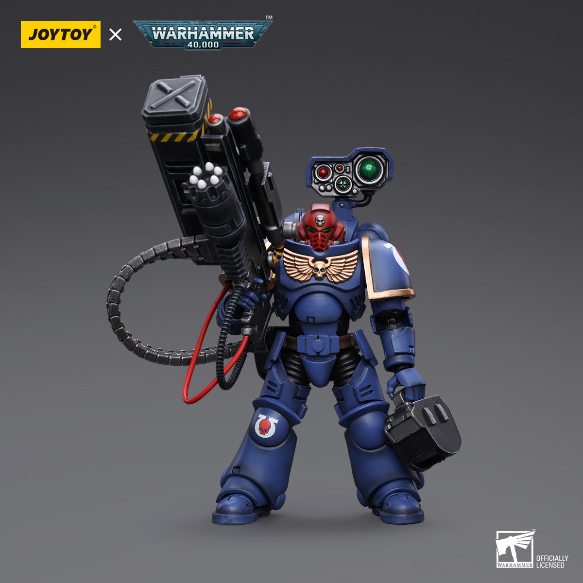Ultramarines Desolation Marine