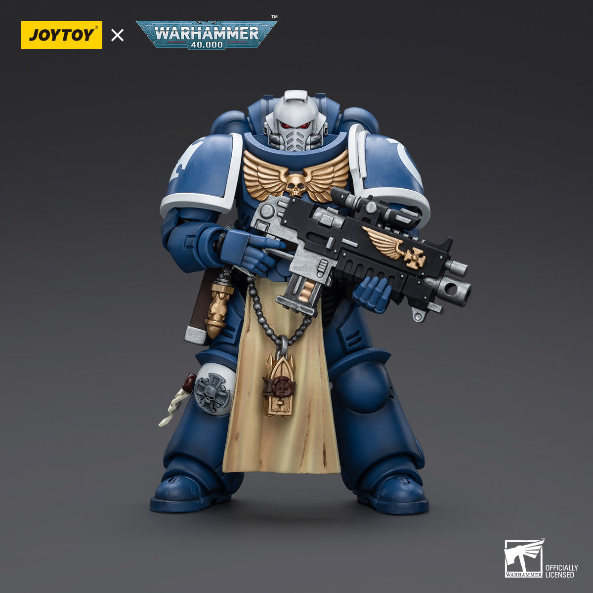 Ultramarines Sternguard Veteran