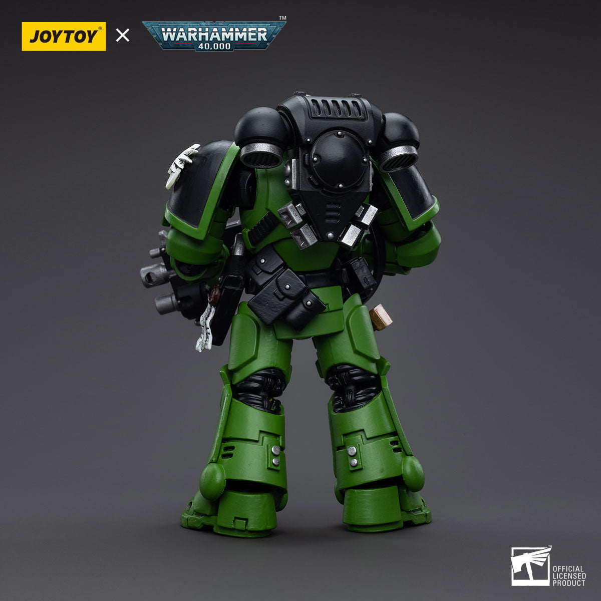 Salamanders Assault Intercessors