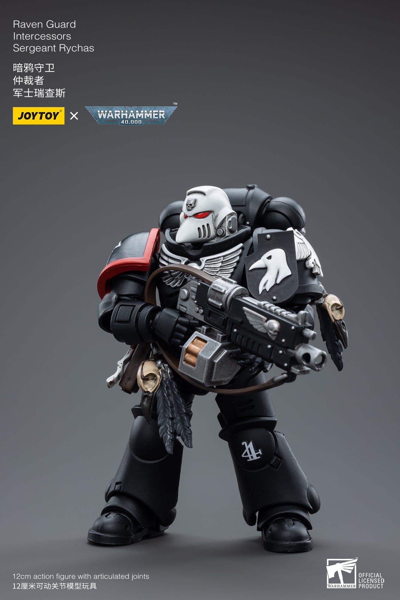 Raven Guard Intercessors