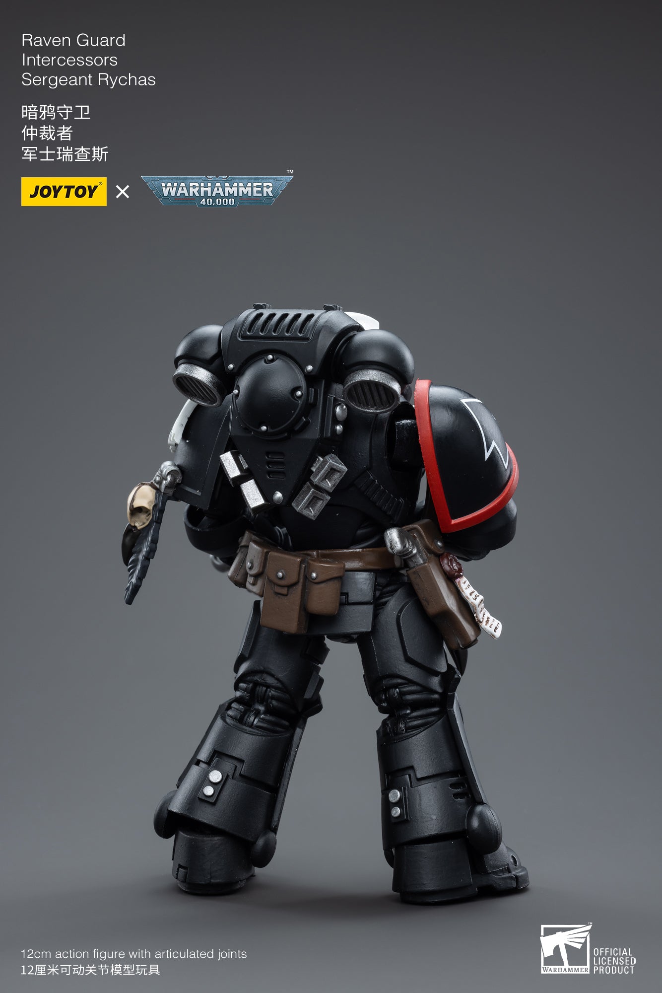 Raven Guard Intercessors