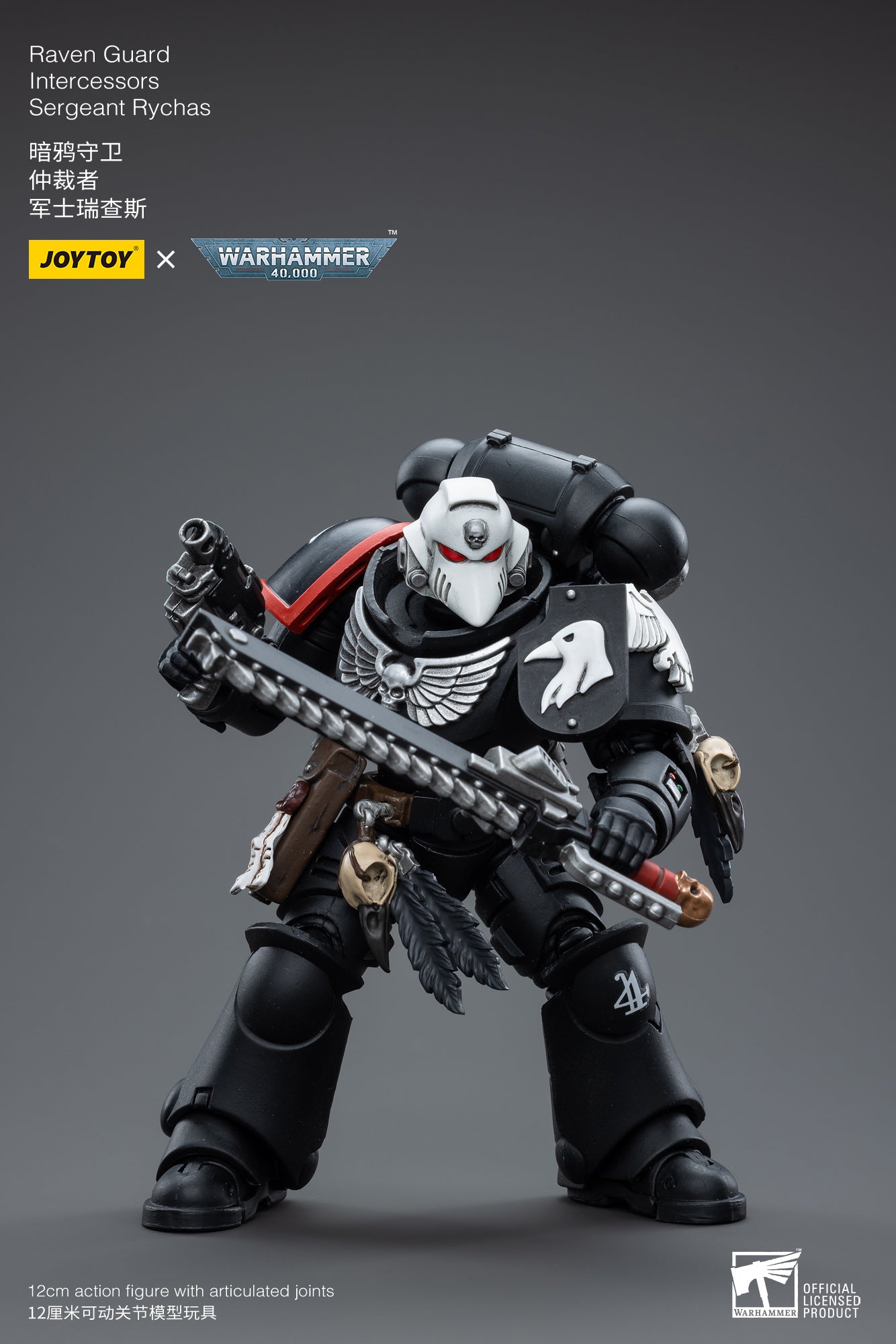 Raven Guard Intercessors