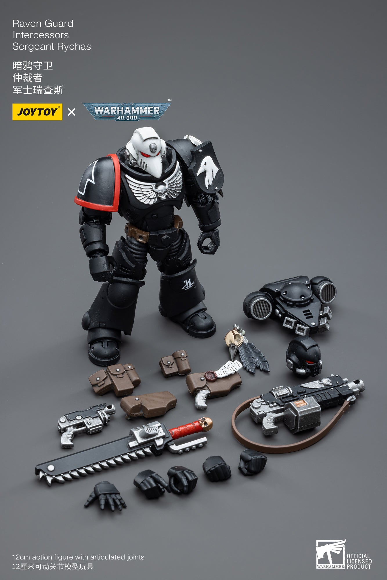 Raven Guard Intercessors