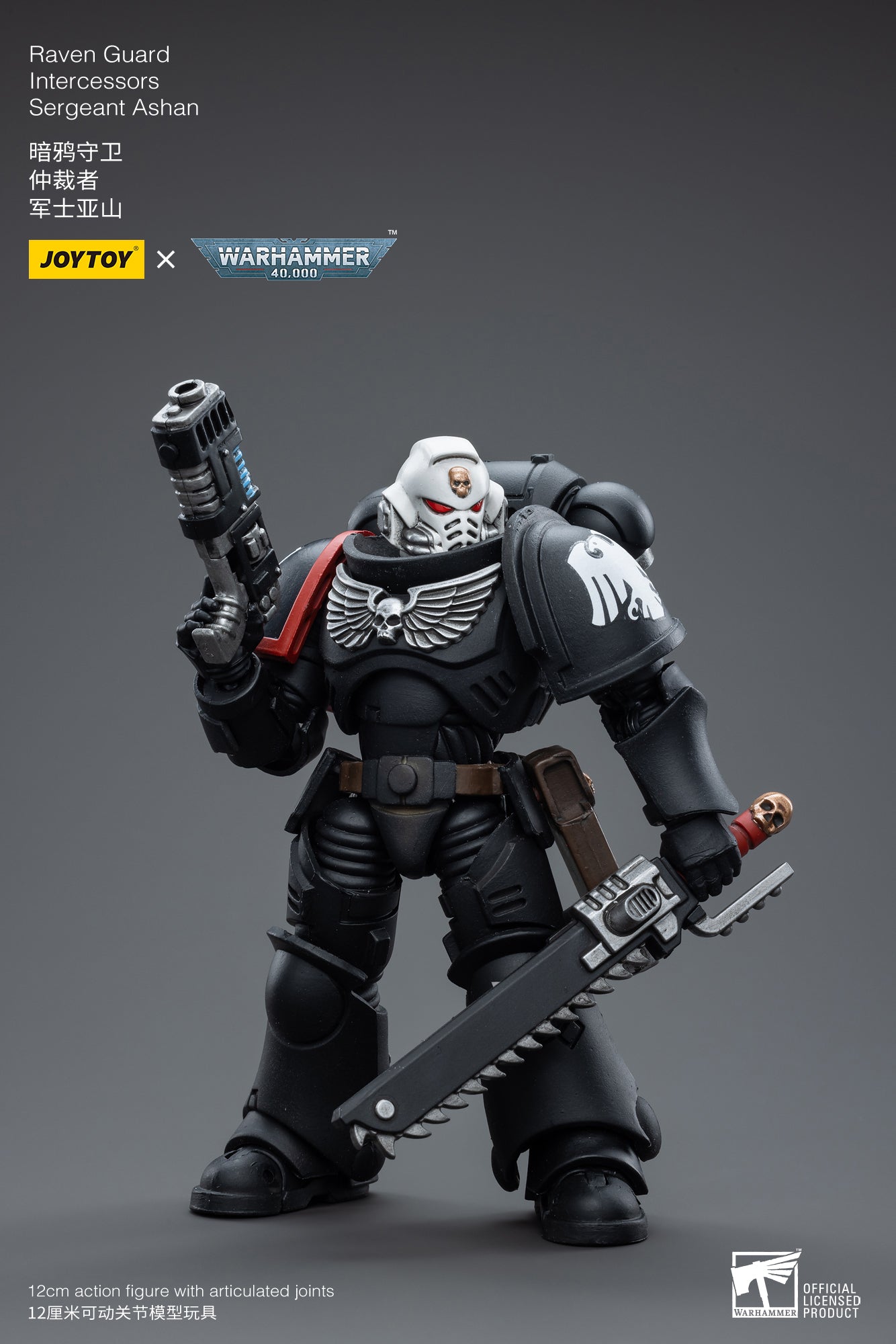 Raven Guard Intercessors