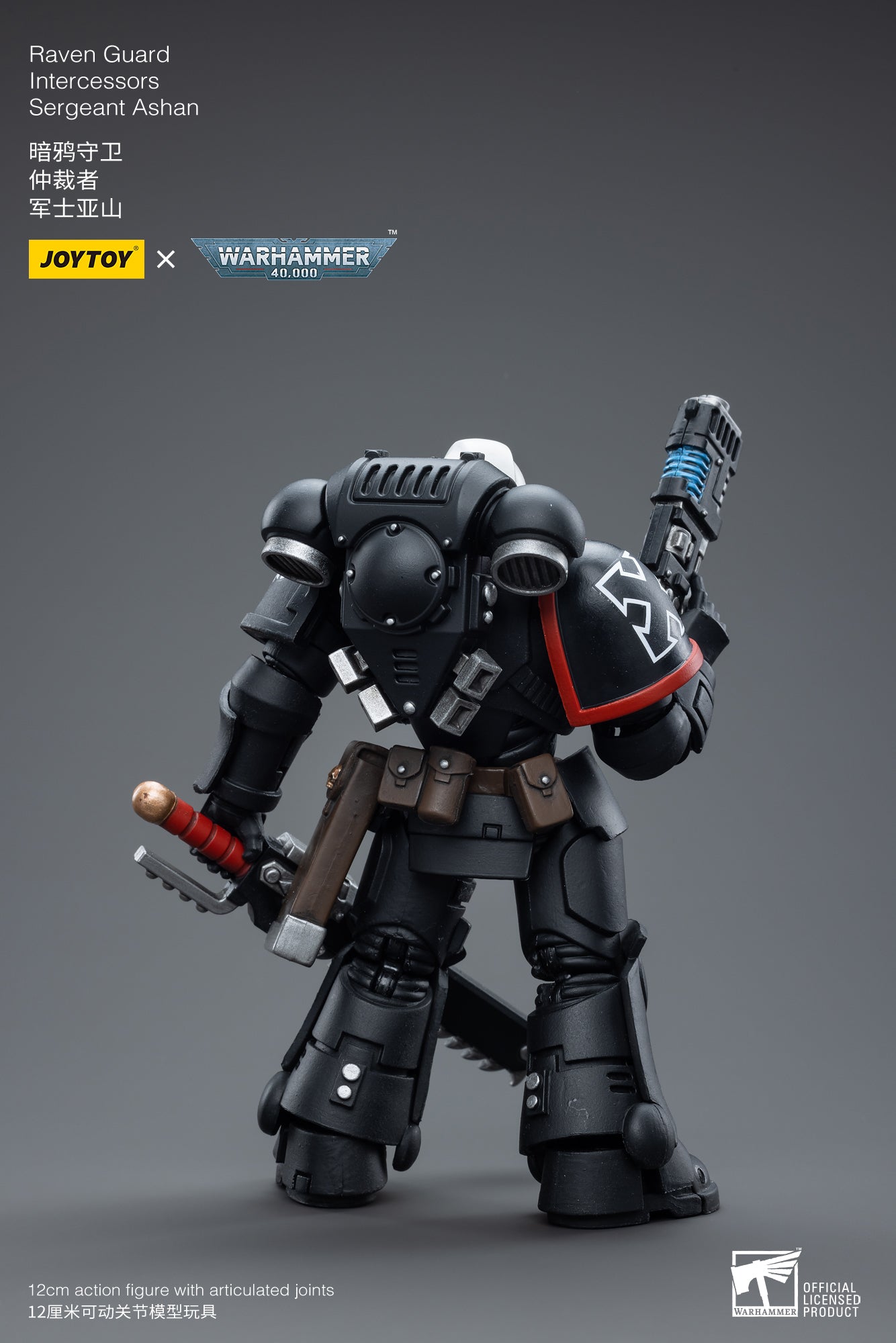 Raven Guard Intercessors