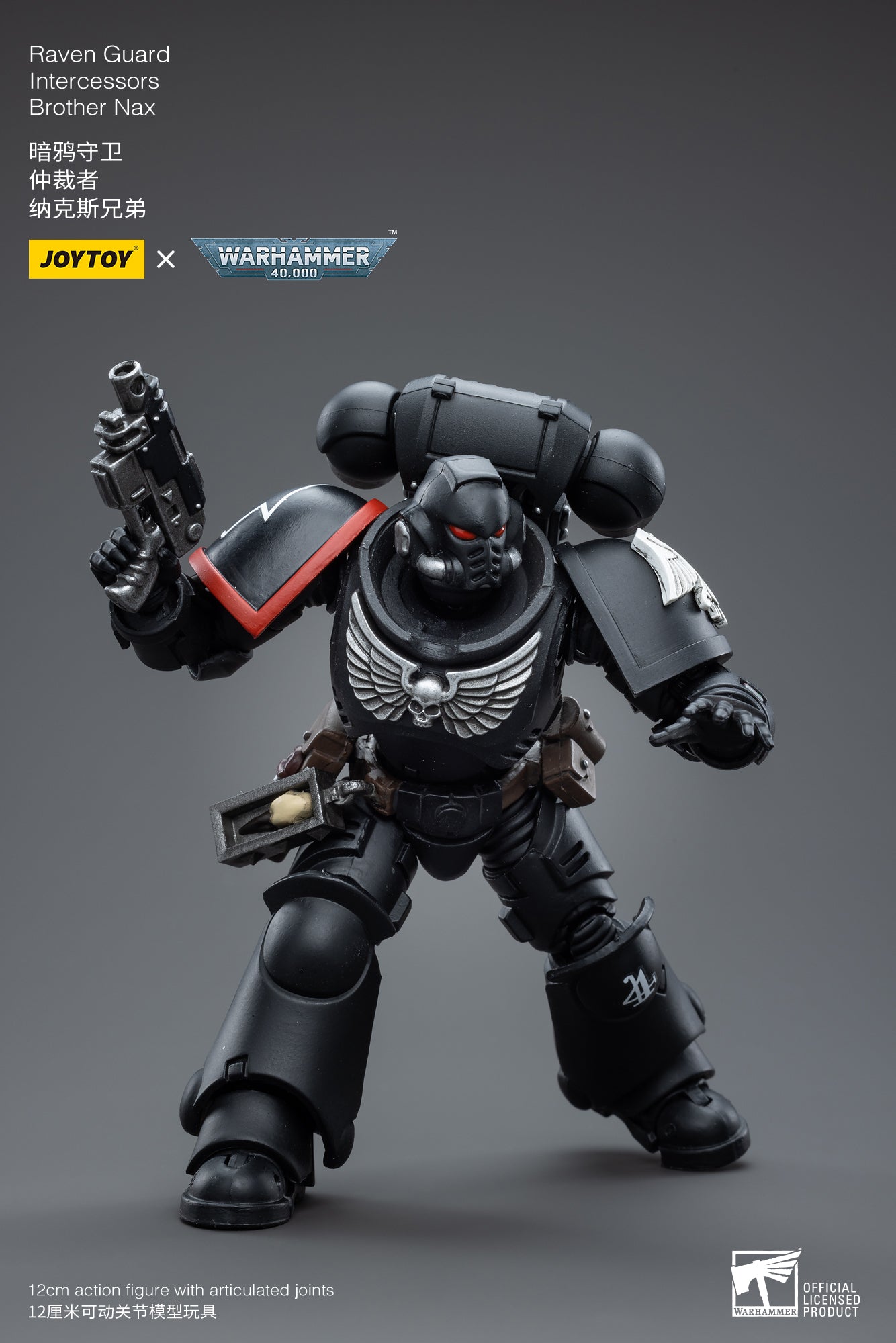 Raven Guard Intercessors
