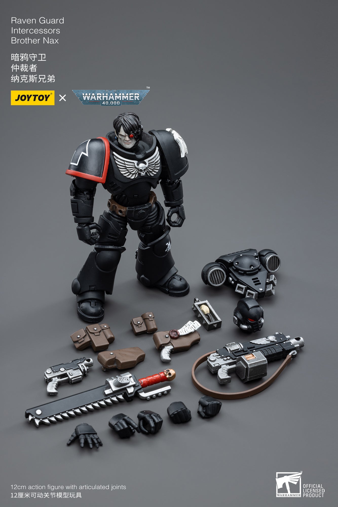 Raven Guard Intercessors