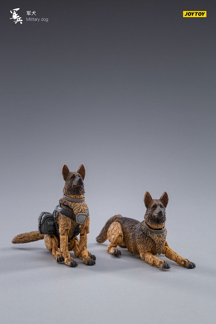 Military Dog